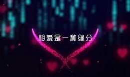 恋情爆料视频素材大全免费,免费观看爆料视频素材大全